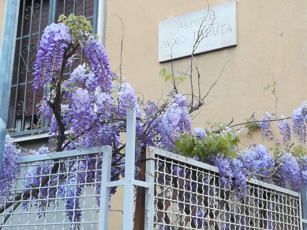 Appartement Amami